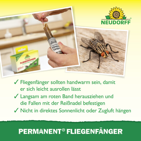 Permanent FliegenFänger Sprechende Bilder Bild 4 Permanent FliegenFänger Sprechende Bilder Bild 4