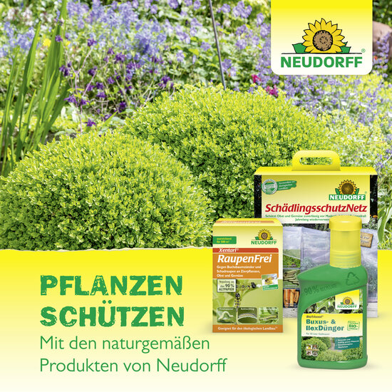 Neudomon BuchsbaumzünslerFalle Nachfüllpack Sprechende Bilder Bild 7