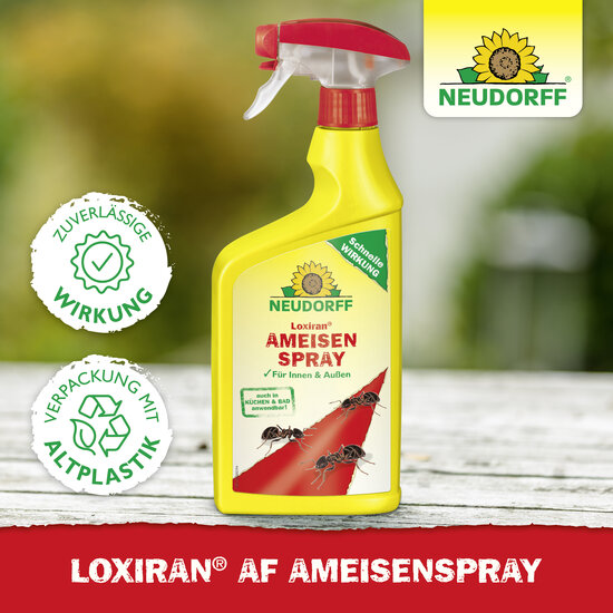 Loxiran AF AmeisenSpray Sprechende Bilder Bild 5