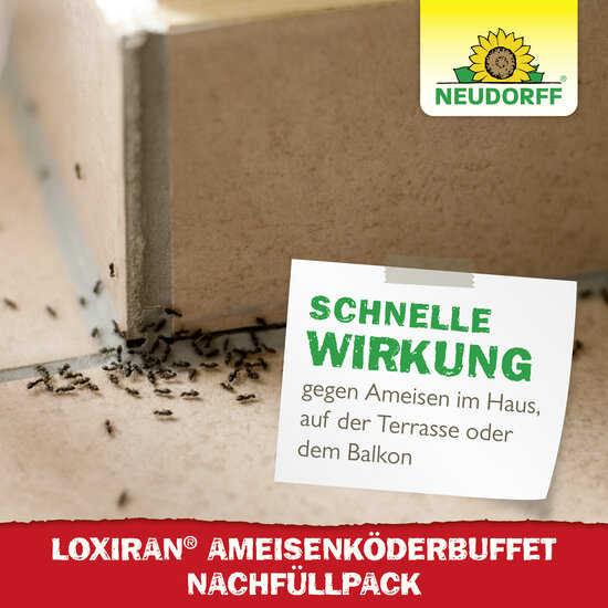 Loxiran Ameisenköderbuffet Nachfüllpack Sprechende Bilder Bild 6