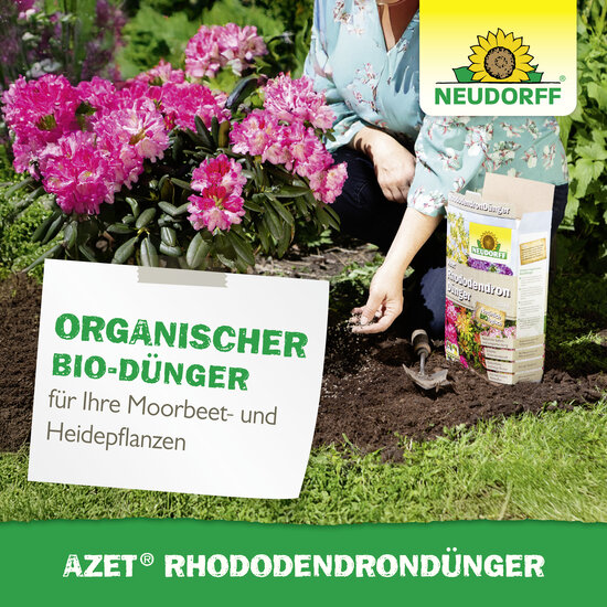 Azet RhododendronDünger Sprechende Bilder Bild 6