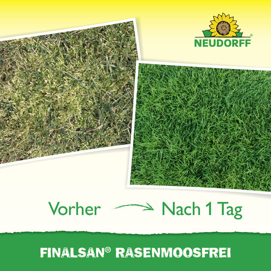 Finalsan RasenMoosfrei Sprechende Bilder Bild 6