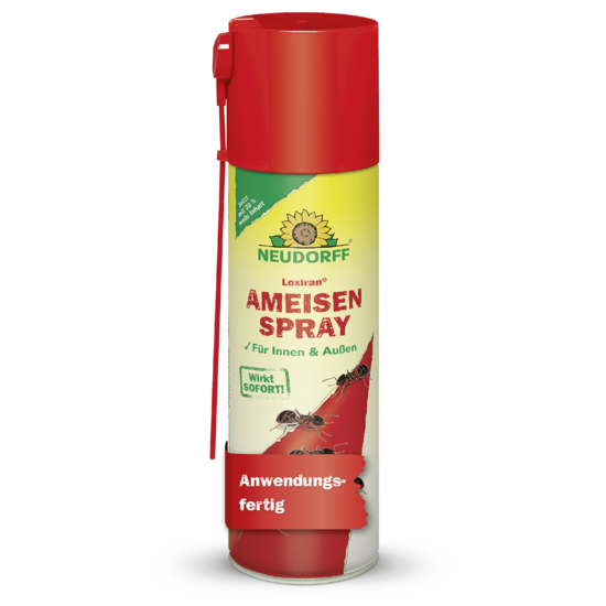 Loxiran Ameisenspray Sprechende Bilder Bild 1