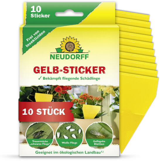 Gelb-Sticker Sprechende Bilder Bild 1