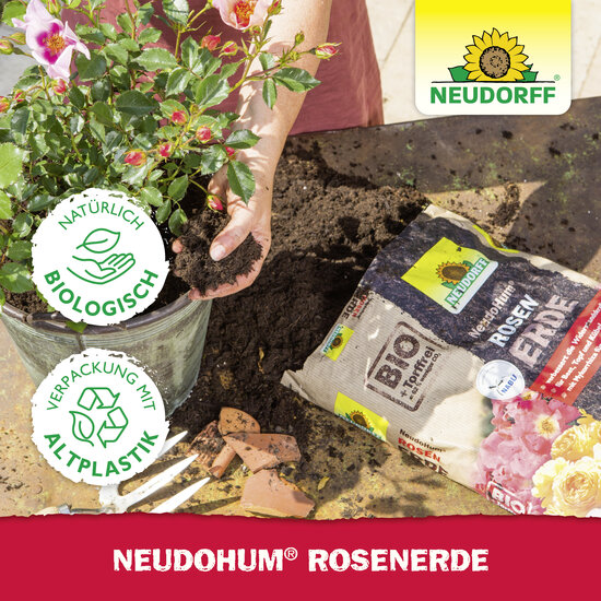 NeudoHum RosenErde Sprechende Bilder Bild 6