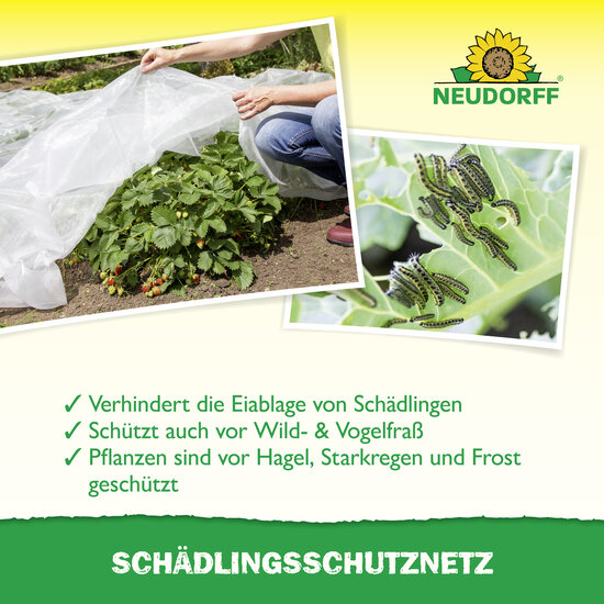 SchädlingsschutzNetz Sprechende Bilder Bild 4 SchädlingsschutzNetz Sprechende Bilder Bild 4