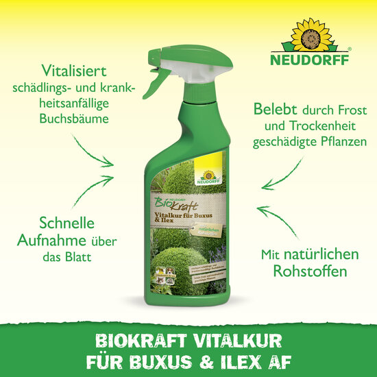Neudorff BioKraft Vitalkur für Buxus & Ilex AF Sprechende Bilder Bild 2