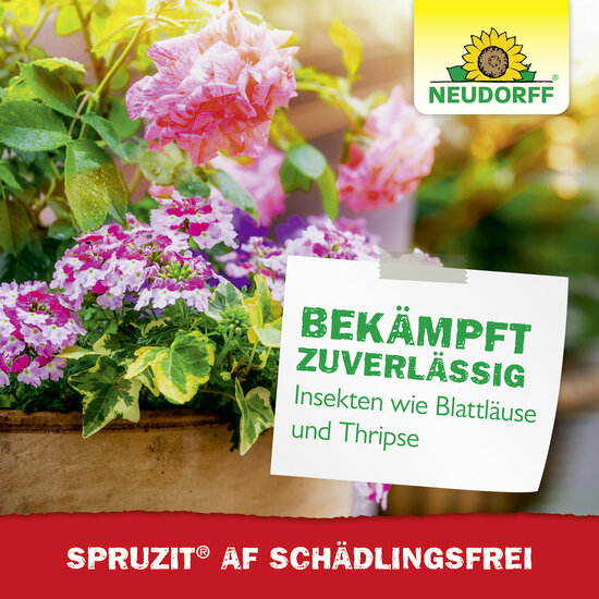 Spruzit AF Schädlingsfrei Sprechende Bilder Bild 6