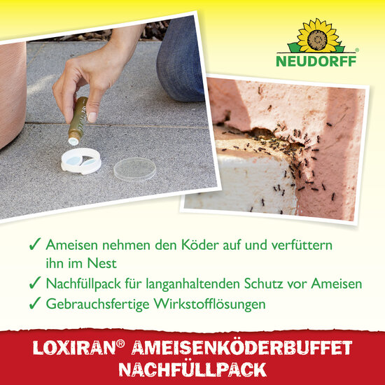 Loxiran Ameisenköderbuffet Nachfüllpack Sprechende Bilder Bild 4