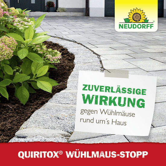 Quiritox Wühlmaus-Stopp Sprechende Bilder Bild 6