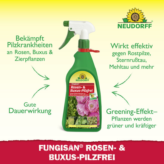 Fungisan Rosen- und Buxus-Pilzfrei Sprechende Bilder Bild 2