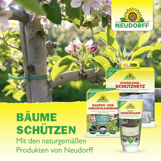 Baumanstrich Pulver Sprechende Bilder Baumanstrich Pulver Sprechende Bilder