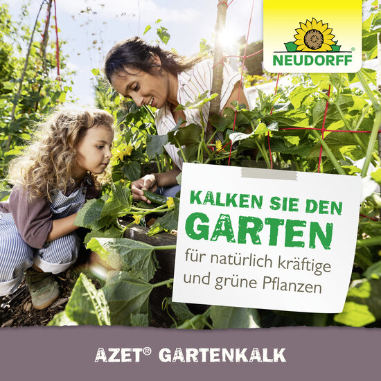 Azet GartenKalk Sprechende Bilder Bild 6