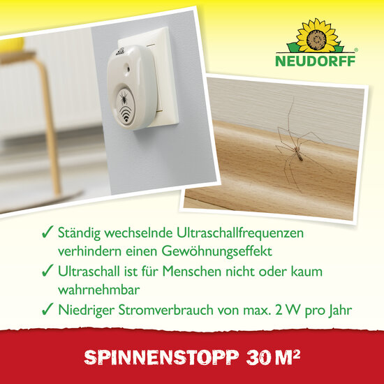 SpinnenStopp 30m2 Sprechende Bilder Bild 4