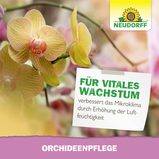 OrchideenPflege Sprechende Bilder Bild 6
