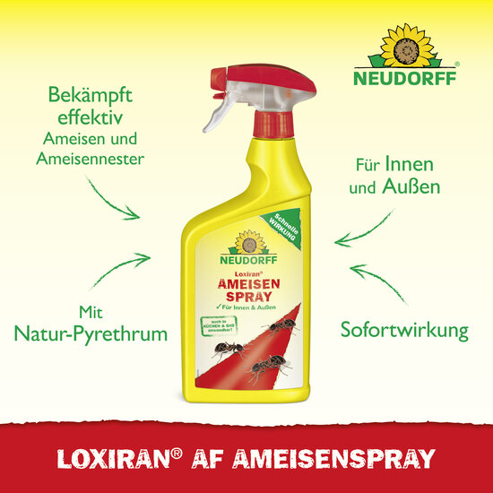 Loxiran AF AmeisenSpray Sprechende Bilder Bild 2