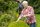 Neudorff_BioKraft_Vitalkur_fuer_Buxus___Ilex.jpg