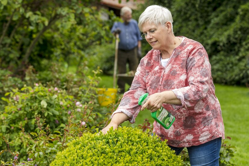 Neudorff_BioKraft_Vitalkur_fuer_Buxus___Ilex.jpg