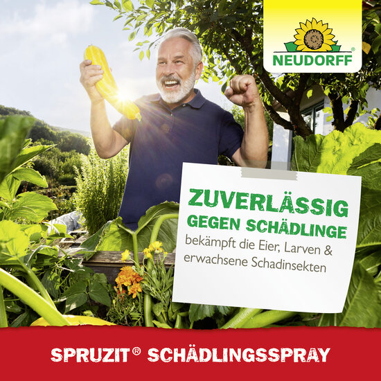 Spruzit SchädlingsSpray Sprechende Bilder Bild 6 Spruzit SchädlingsSpray Sprechende Bilder Bild 6