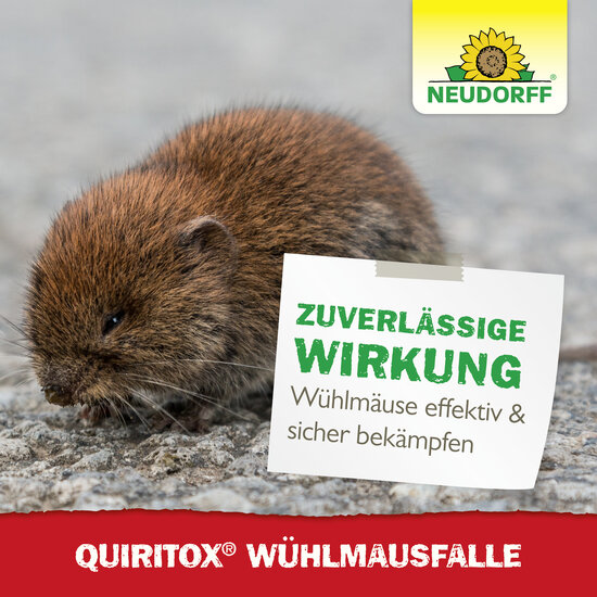 Quiritox WühlmausFalle Sprechende Bilder Bild 7