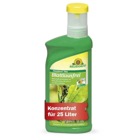 Neudosan Neu Blattlausfrei Sprechende Bilder Bild 1