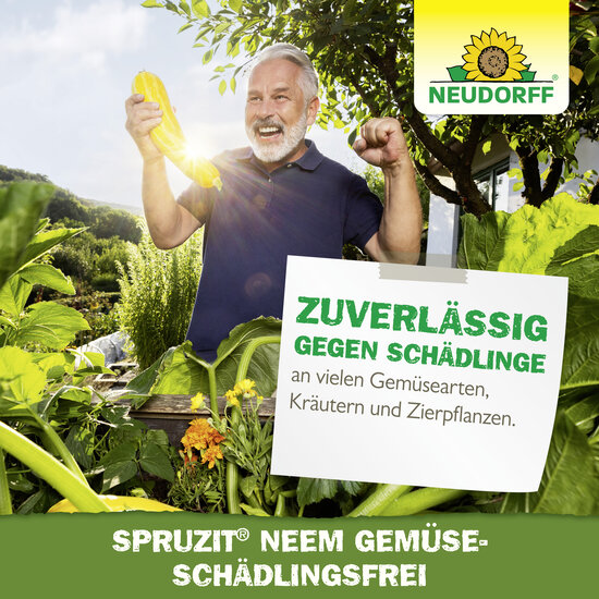 Spruzit NEEM GemüseSchädlingsfrei Sprechende Bilder Bild 6