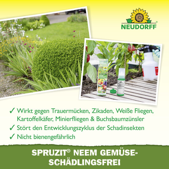 Spruzit NEEM GemüseSchädlingsfrei Sprechende Bilder Bild 4