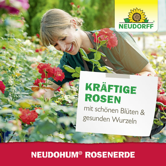 NeudoHum RosenErde Sprechende Bilder Bild 7