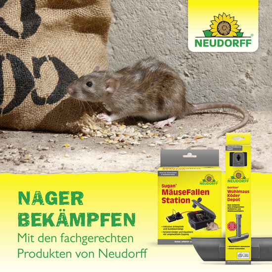 Mäusegitter Sprechende Bilder Bild 7 Mäusegitter Sprechende Bilder Bild 7