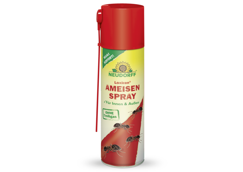 Loxiran AmeisenSpray