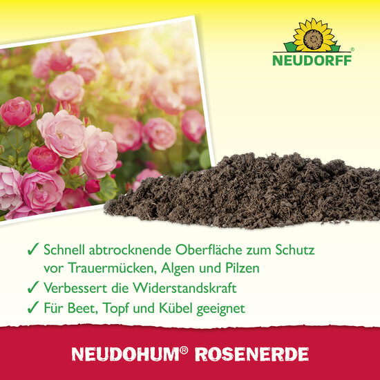 NeudoHum RosenErde Sprechende Bilder Bild 4
