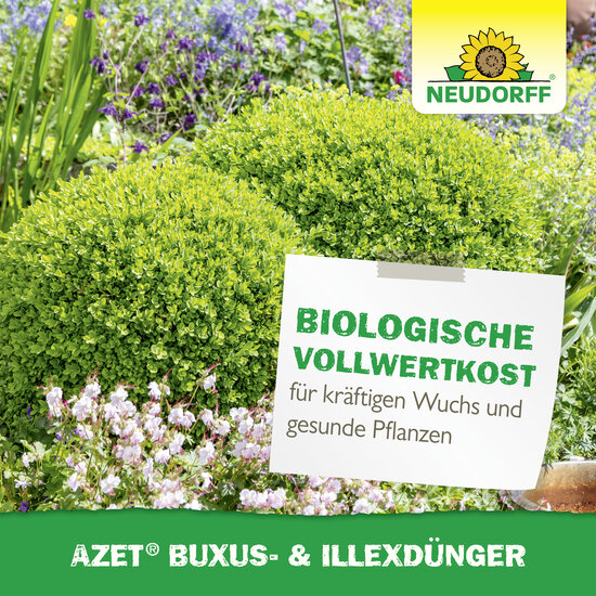 Azet Buxus- & IlexDünger Sprechende Bilder Bild 6