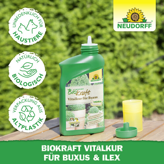 Neudorff BioKraft Vitalkur für Buxus & Ilex Sprechende Bilder Bild 5
