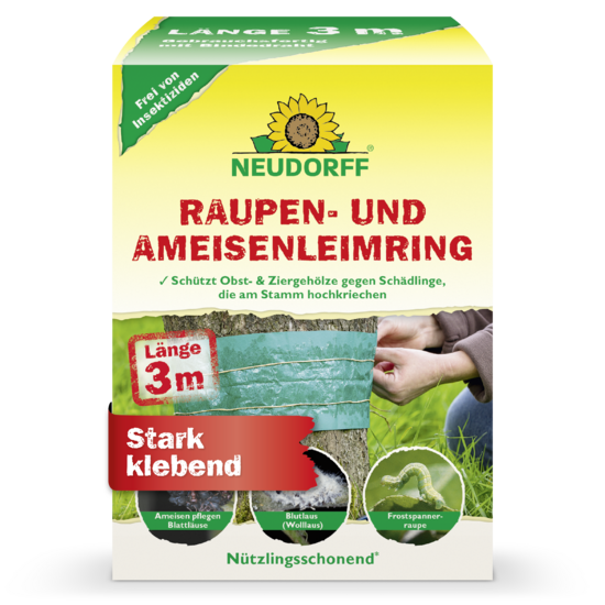 Raupen- und AmeisenLeimring Sprechende Bilder Bild 1