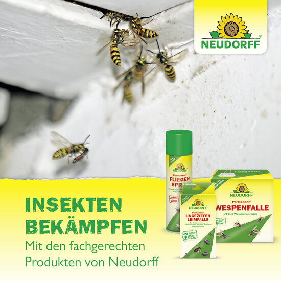 Permanent WespenSchaum Sprechende Bilder Bild 7