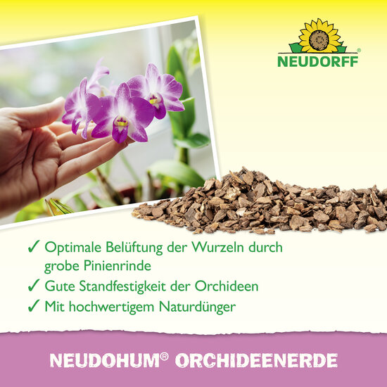 NeudoHum OrchideenErde Sprechende Bilder Bild 4 NeudoHum OrchideenErde Sprechende Bilder Bild 4