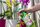 Neudorff_BioKraft_Vitalkur_fuer_Orchideen_0002.jpg