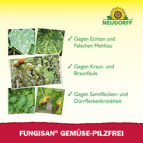 Fungisan Gemüse-Pilzfrei Sprechende Bilder Bild 5 Fungisan Gemüse-Pilzfrei Sprechende Bilder Bild 5