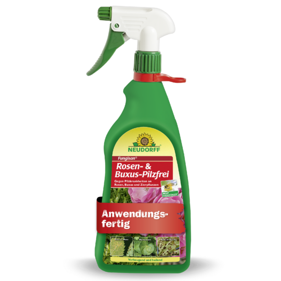 Fungisan Rosen- und Buxus-Pilzfrei Sprechende Bilder Bild 1