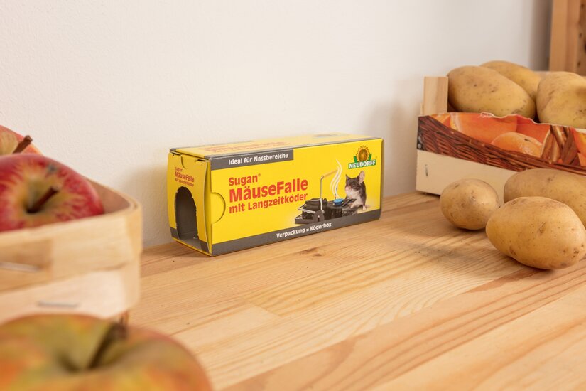 Sugan_MaeuseFalle_mit_Langzeitkoeder_0001.jpg