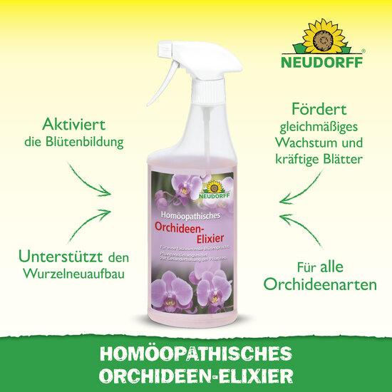 Homöopathisches Orchideen-Elixier Sprechende Bilder Bild 2