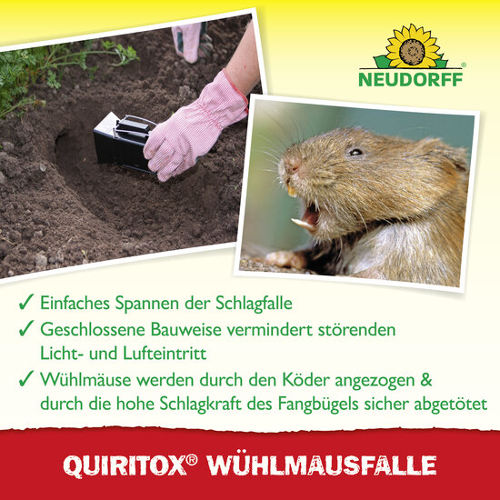 Quiritox WühlmausFalle Sprechende Bilder Bild 4