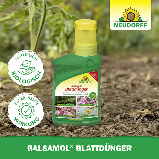 Balsamol Blattdünger Sprechende Bilder Bild 5