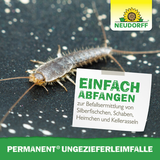 Permanent UngezieferLeimFalle Sprechende Bilder Bild 6