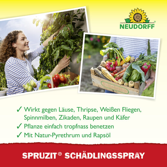 Spruzit SchädlingsSpray Sprechende Bilder Bild 4 Spruzit SchädlingsSpray Sprechende Bilder Bild 4
