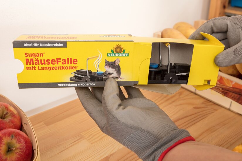 Sugan_MaeuseFalle_mit_Langzeitkoeder_0004.jpg