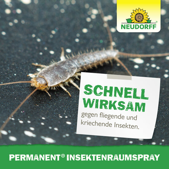 Permanent InsektenRaumspray Sprechende Bilder Bild 6 Permanent InsektenRaumspray Sprechende Bilder Bild 6