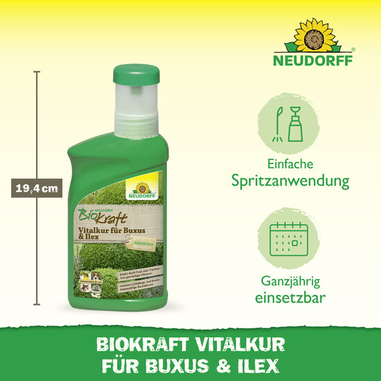 Neudorff BioKraft Vitalkur für Buxus & Ilex Sprechende Bilder Bild 3