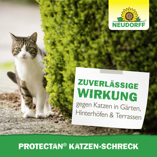 Protectan Katzen-Schreck Sprechende Bilder Bild 6