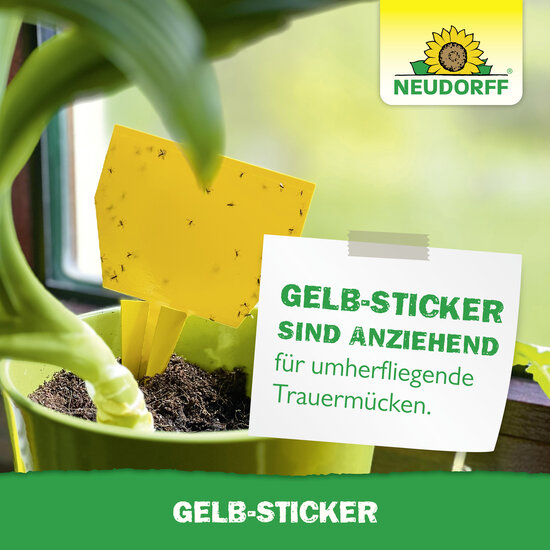 Gelb-Sticker Sprechende Bilder Bild 7